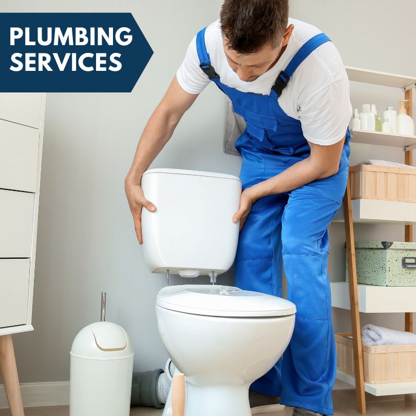 Plumbing Company in Lake City, IA